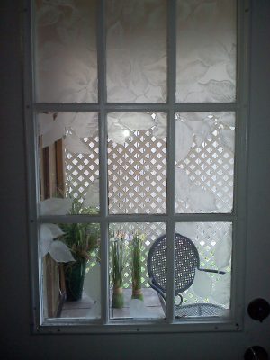 window film design everleaf by Wallpaper For Windows on 9 light door