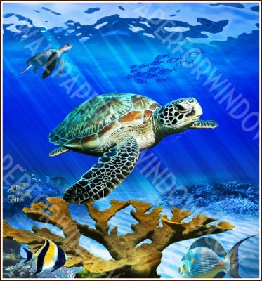 Underwater Sea Life Window Film