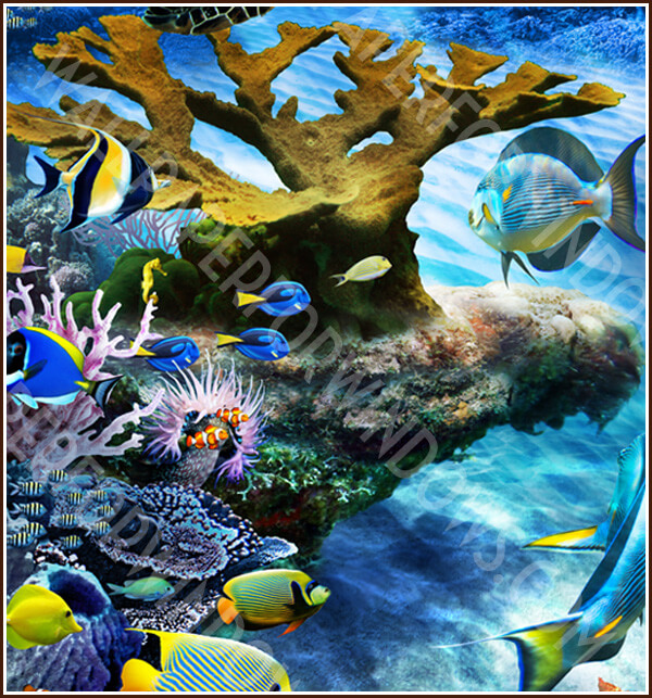 eaturtle-reef